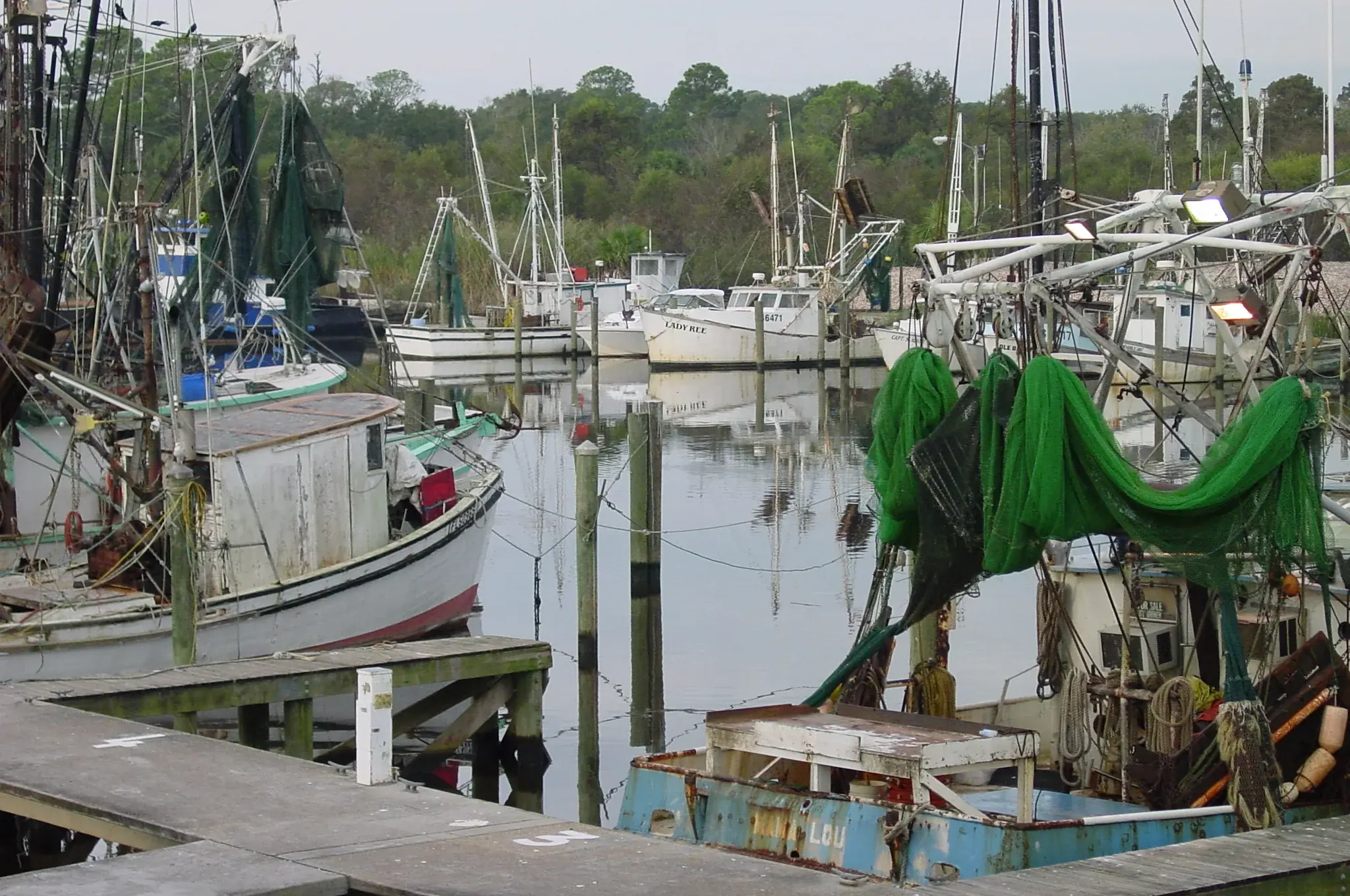Shrimp boats tied up at the Apalachicola docks, green nets hung from the booms.